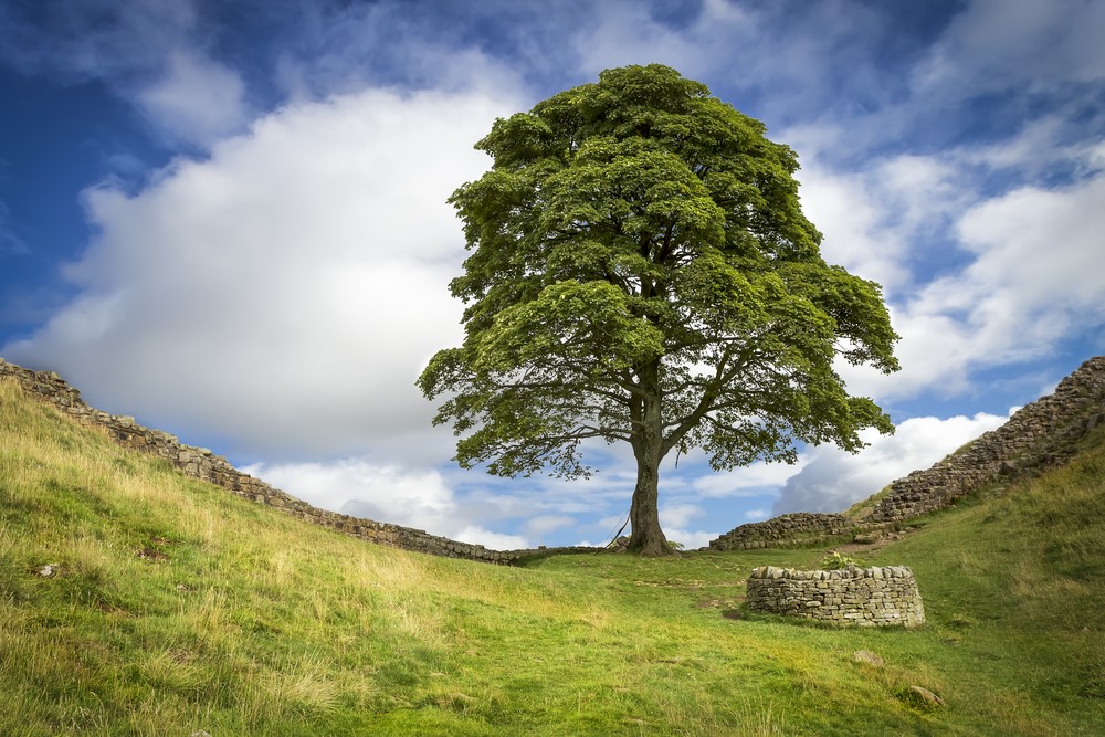 Hadrian's Wall and Sycamore Gap - a popular photograph subject