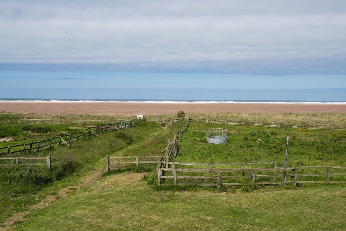 Beachcomber Cottage - the view of the expansive Goswick beach from the cottage