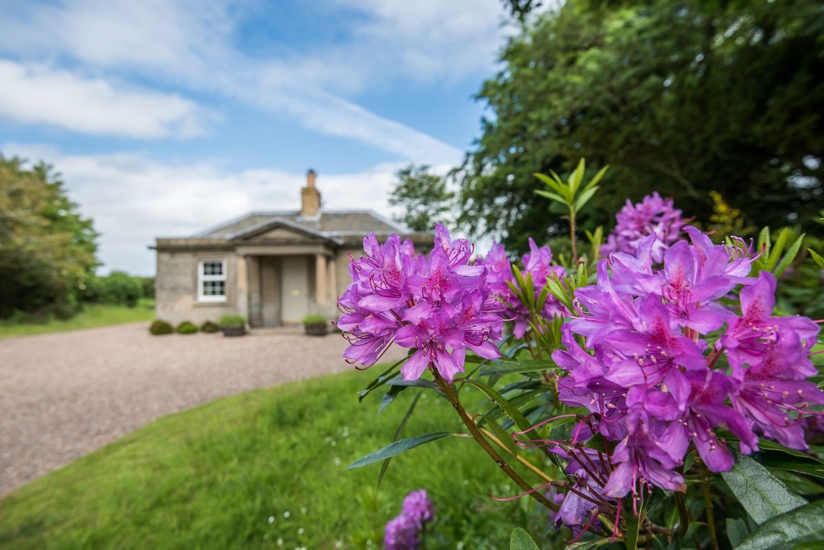 West Lodge - front aspect & rhododendron