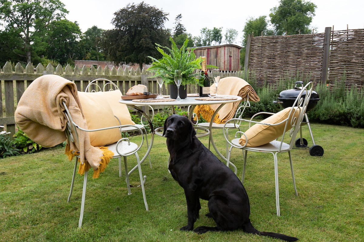Bel House - four-legged friends are welcome to join you at the property