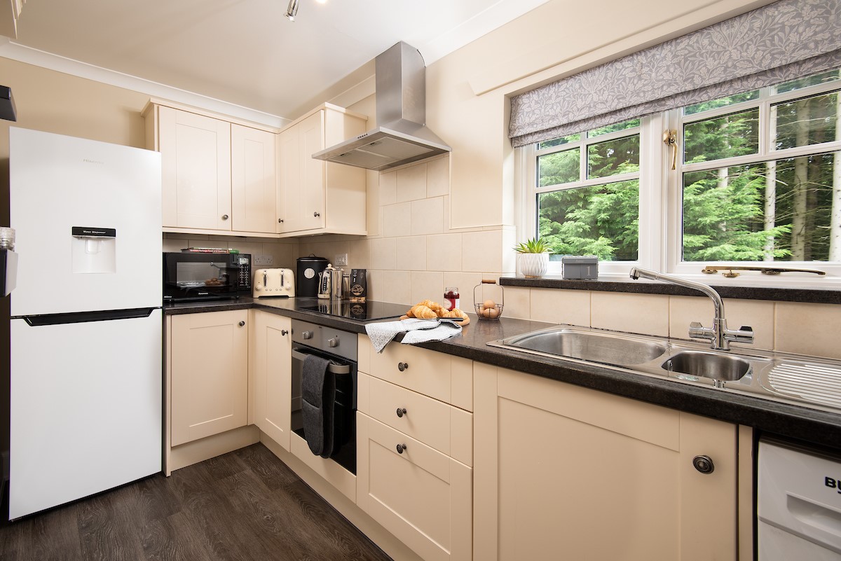 East Lodge at Ashiestiel - the galley style kitchen with views over to the forest