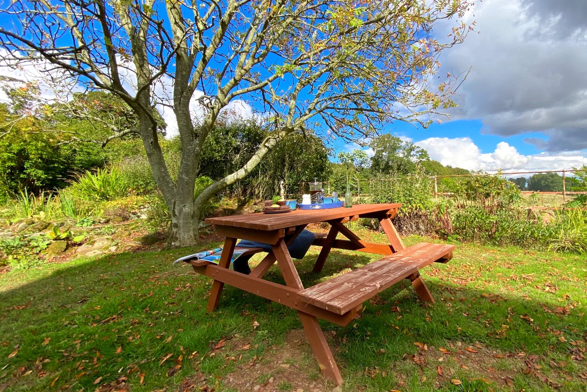 Farinington East Wing - picnic bench where guests can enjoy breakfast under the shade of the tree