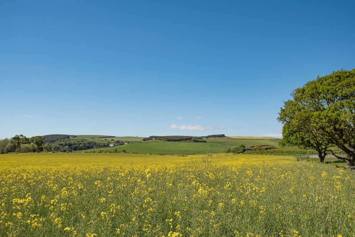 Housedon Haugh - area image showing stunning summer days with views across open farmland