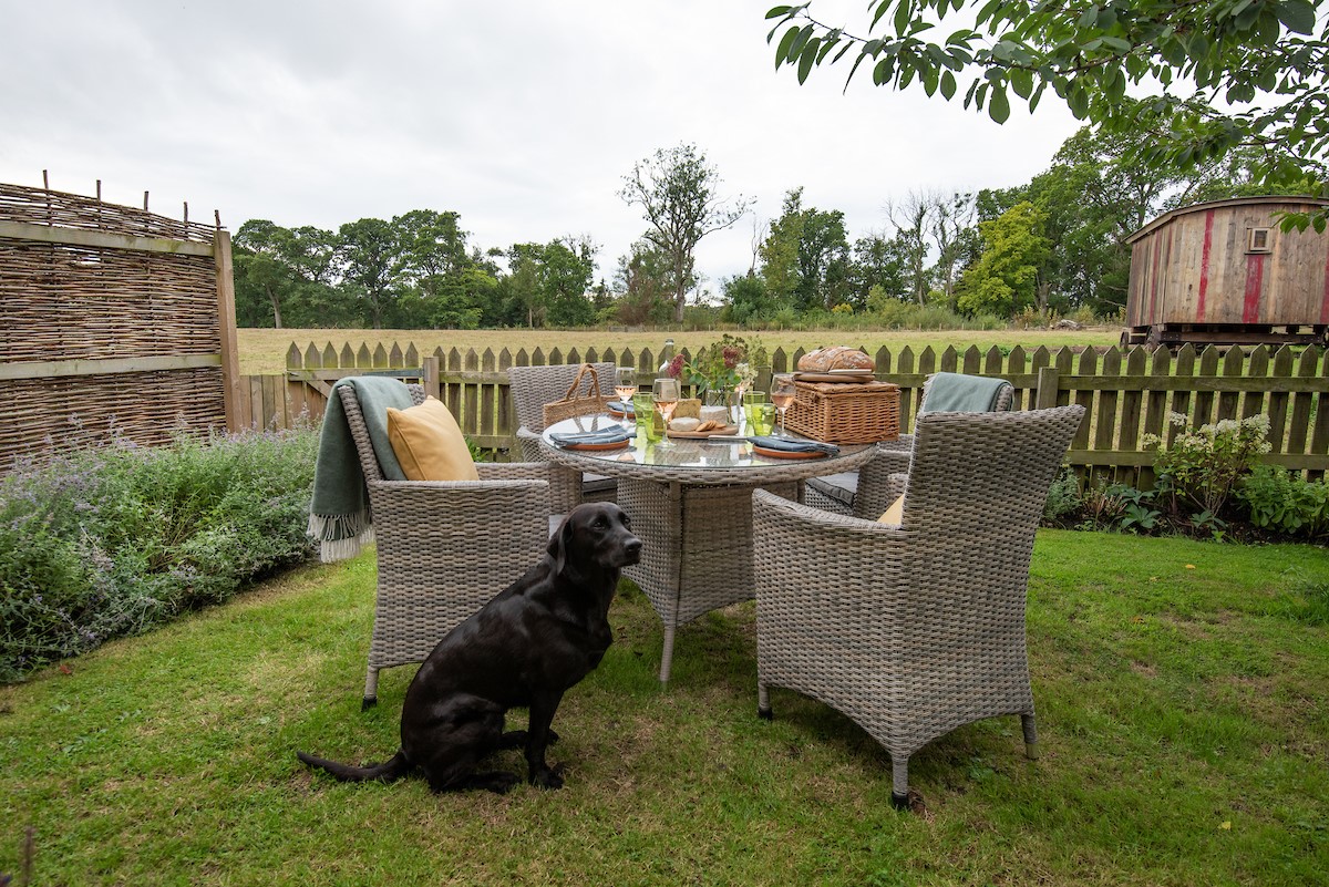 Cuthbert House - your four-legged friend can also enjoy a stay at the property