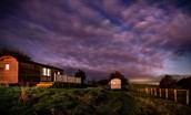 Foxglove - for cosy winter stays and dramatic skies