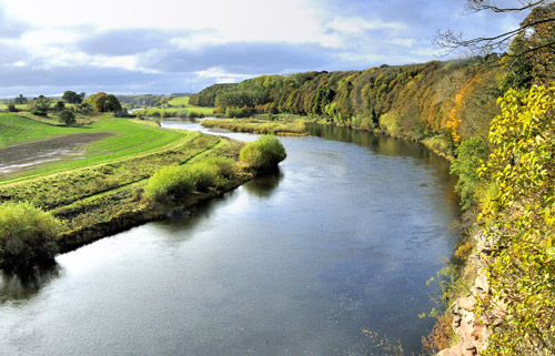 View of the River Tweed from Milne Graden Estate