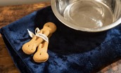 Mallow Lodge - dog biscuits and bowl