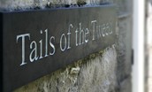 Milne Graden Dog Park - Tails of the Tweed