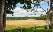 Dryburgh Steadings - view over nearby countryside
